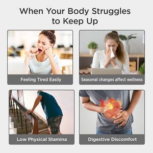 Chinaherbs Nouveau produit Thé immunitaire 1,5g*20 Sachets de thé aux feuilles de corossol Emballés en boîte Thé de corossol Thé pour le système immunitaire pour la santé - Product Image 5