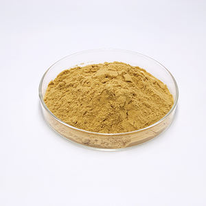 Lions Mane Mushroom Extracto Polisacárido 30% Polvo <span class=keywords><strong>Hericium</strong></span> <span class=keywords><strong>Erinaceus</strong></span> Extracto - Product Image 1