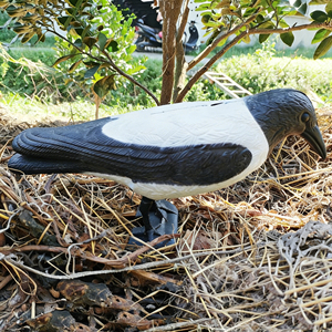 Modèle d'oiseau corbeau noir statique à texture réaliste pour l'extérieur, équipement <span class=keywords><strong>de</strong></span> tir sur le terrain, leurre <span class=keywords><strong>de</strong></span> chasse au corbeau en plastique durable résistant aux intempéries - Product Image 2