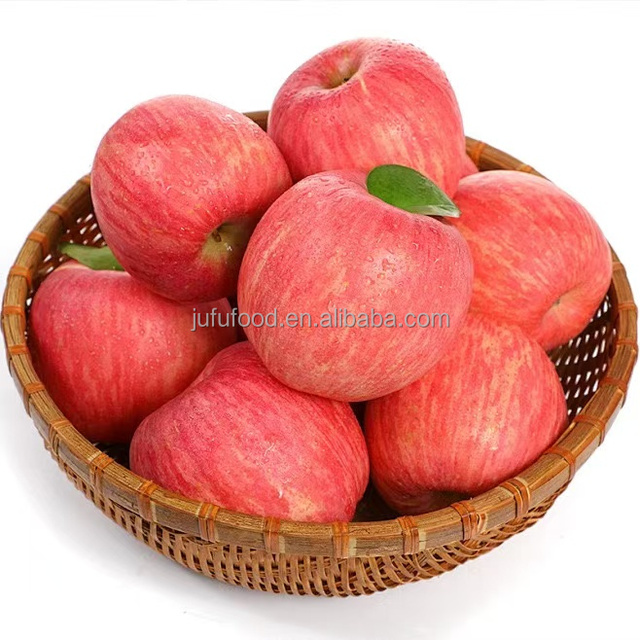New Crop Good Quality New Fresh Apple with Good Taste Red Color High Amount of Vitamin C Good for Health Fresh apple OEM