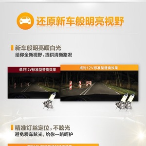 Nuevas <span class=keywords><strong>Bombillas</strong></span> Halógenas <span class=keywords><strong>H7</strong></span> de 6V y 55W con 1 Año de Garantía para Luces de Coche, Luz Baja y Luz Alta - Product Image 3