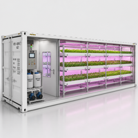 Conteneur d'agriculture verticale modulaire certifié CE, ferme hydroponique intelligente pour la culture de légumes à feuilles vertes, prix d'usine, exportation
