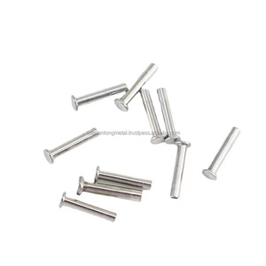 Steel Common Nails for Wood House <b>Aluminum</b> <b>Flat</b> Umbrella Head Double Brad Cap Style Fluted Shank Type Ring for Roofing Woodwork - Product Image 1
