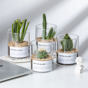 Vase en verre en pot à haute teneur en borosilicate cylindrique clair Pot de fleurs en verre d'<span class=keywords><strong>hydroculture</strong></span> succulente de Style européen nordique Simple - Product Image 1