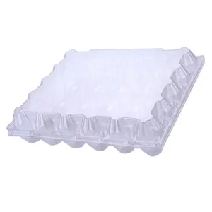 Low Price Paper Egg Tray Product Plant Supplier