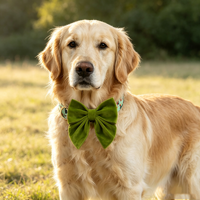 Collier pour chien imprimé Noël viral, ensemble mignon pour l'hiver avec nœud papillon marin en velours pour petits et moyens chiens, tenue quotidienne