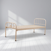 Lit médical multifonction contemporain en acier au carbone ZHONG BAI LH-MSF-05, design durable et léger, garantie de 2 ans