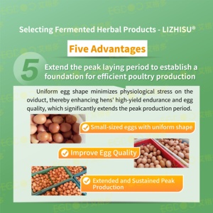 Los nutrientes del alimento de la capa de aves de corral del fabricante mejoran la producción de huevos, alimento de la capa de premezcla de gallina ponedora para <span class=keywords><strong>ISA</strong></span> <span class=keywords><strong>Brown</strong></span> - Product Image 4