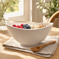 Ensemble de vaisselle en céramique moderne en forme de bateau de couleur unie bol à salade personnalisé en porcelaine soupe blé émaillé durable écologique