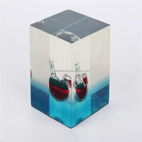 Trophée en acrylique personnalisé LANDU avec goutte d'huile, récompenses en résine solide transparente, presse-papier fabriqué en Chine, moulé pour souvenir