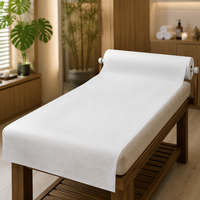 Disposable PP Non Woven Fabric Bed Sheets & Tablecloth for Beauty Salon & Spa Use Soft CE Certified Customized Size
