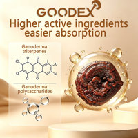 GOODEX Poudre de corps fruitaire de Ganoderma Lucidum de qualité alimentaire, séchée à l'air chaud, approvisionnement direct usine et expédition directe de la ferme forestière