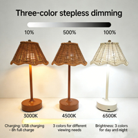 Lampe de table LED rechargeable DC en rotin, faite à la main, moderne et créative, veilleuse simple pour mariage, extérieur et jardin, décorative