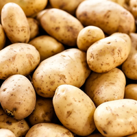Verse Aardappel Nieuwe Gewas Groenten Groothandelsprijzen Aardappel Voor Export Verse Chinese Fabrieksleverancier Verse Uien En Aardappel