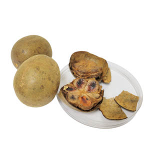 Fruit de moine séché OEM de haute qualité/<span class=keywords><strong>Grosvenor</strong></span> Momordica séché/Luo Han Guo séché - Product Image 4