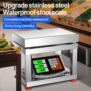 <span class=keywords><strong>Scala</strong></span> completa dello <span class=keywords><strong>sgabello</strong></span> in acciaio inossidabile in versione inglese 150kg, <span class=keywords><strong>scala</strong></span> della piattaforma elettronica da 300kg, piccola <span class=keywords><strong>scala</strong></span> della piattaforma dei prezzi commerciale - Product Image 3