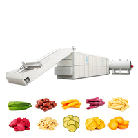 Topverkopers Automatische Elektrische Verwarmings-Meshbanddroogmachine voor Kelp, Kardemom, Tomaten, Rode Dadels & Kurkuma