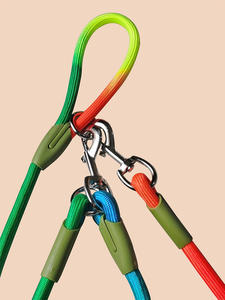 Laisse de chien en nylon réfléchissante mains libres pour courir Hundeleine Laisse de chien avec rubans décoratifs pour l'entraînement et l'exercice - Product Image 6