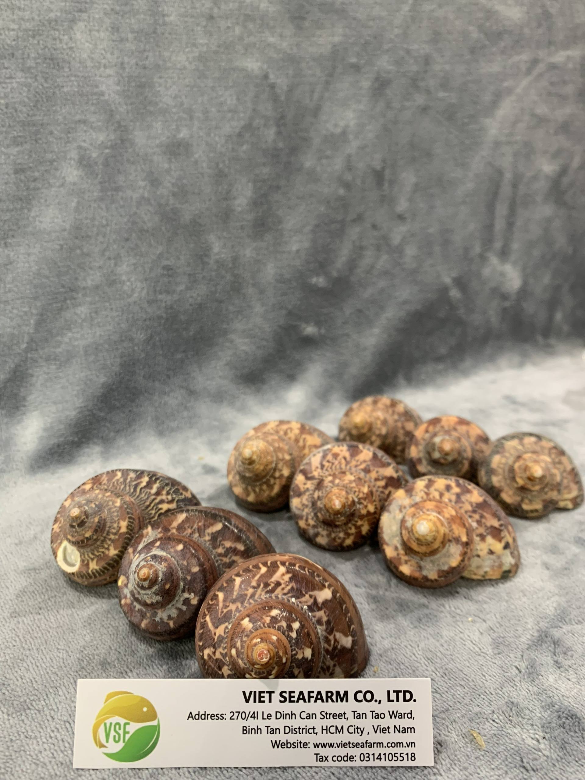 ธรรมชาติ