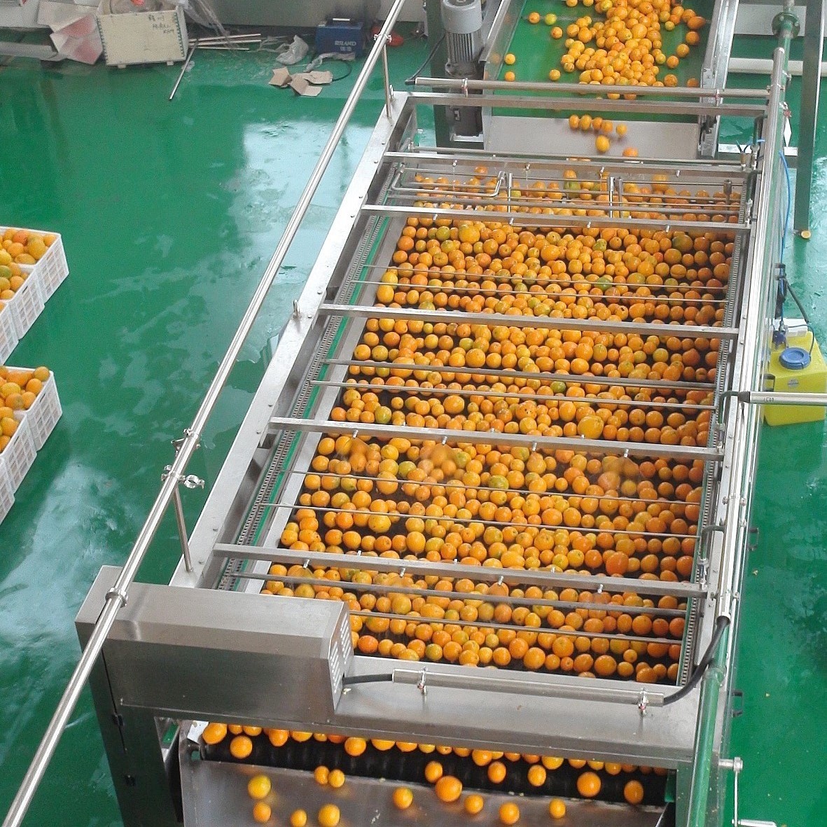 Industrial lemon processing plant orange citrus juice production line