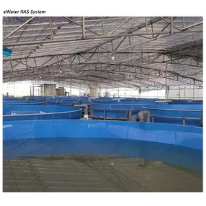 L'aquaculture piscicole cecycling système ras équipement bioflock réservoir à vendre