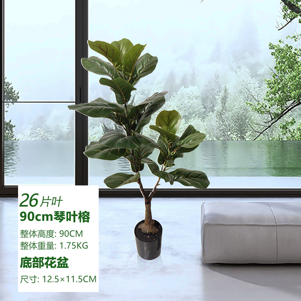 Qinye rong 90cm