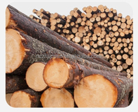Étiquettes suspendues de décoration de pays américain de bricolage, en forme de nid d'abeille, cintres de décoration murale en bois pour l'étude, le salon.