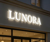 Enseigne lumineuse LED 3D personnalisée à éclairage frontal, étanche, pour extérieur, logo d'entreprise, signalétique lumineuse pour façade de magasin