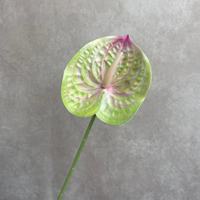 Vente en gros de fleurs artificielles en 3D Anthurium pour arrangements floraux de mariage, guide de chemin de fleurs artificielles pour la décoration de la maison, accessoires de fleurs