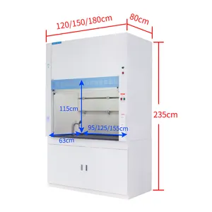 Hot Sale Steel Instrument Testing Ventilation Fume Hood for Chemical Laboratory/