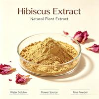 Extrait de Hibiscus Rosa-Sinensis Standardisé en Poudre, Riche en Anthocyanes, Matière Première Végétale pour Formulations de Boissons et Soins de la Peau