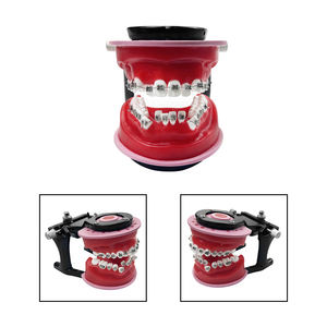 Modello Dentale Ortodontico per Trattamento con Brackets, per Pratica e Formazione di Tecnici Dentali, Insegnamento Odontoiatrico - Product Image 6