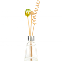 Diffuseur d'huiles essentielles écologique avec logo personnalisé et coffret cadeau pour la décoration de la maison