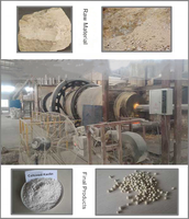 Chine Four rotatif professionnel de calcination du minerai Kaolin Leca Usine de production d'argile expansée Fabricant de four rotatif Clay Leca