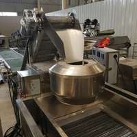 Nieuwe LIJIE 100kg/uur Groente- & Fruit-aardappelchips productielijn 380/220V Lange levensduur