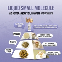 Liquide brut de Dendrobium Purple Skin, pack mensuel, spécialité du Yunnan, montagne de Gaoligong, boisson nourrissante et bienfaisante