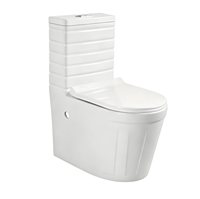 WC en céramique à chasse d'eau par siphon, puissance de chasse forte, fonctionnement silencieux, économie d'eau, anti-odeurs, lavabo monobloc, hôtel