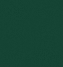 Light Green RAL6005