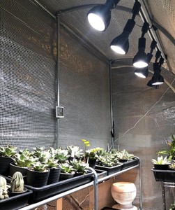 Lámpara de Cultivo LED COB Comercial de Alta Eficiencia con Soporte para Floración, para Invernadero y Agricultura Vertical - Product Image 6