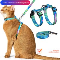 Harnais de type gilet réglable en polyester à motif imprimé pour chat, laisse pour petit animal de compagnie pour la promenade