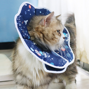 <span class=keywords><strong>Collar</strong></span> de gato plegable, - Product Image 5
