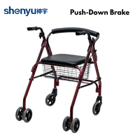 2024 Nouveau Design Rollator léger facile à utiliser marcheur pliable