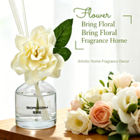 Ensemble diffuseur de parfum personnalisé, parfum longue durée, écologique, sans alcool, senteur fraîche, fleurs séchées décoratives, plantes