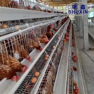 200 cages à poules pour la ponte à vendre, design moderne pour élevage de poulets - Product Image 4