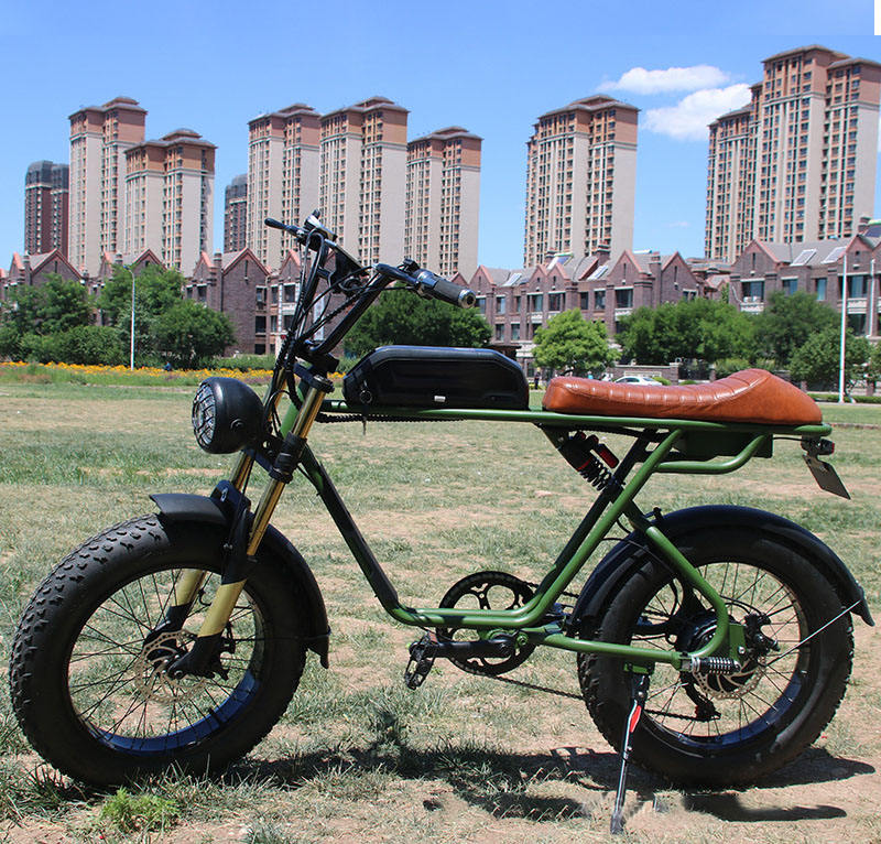 Green Dual Batteries