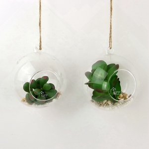 <span class=keywords><strong>Verre</strong></span> <span class=keywords><strong>Suspendue</strong></span> <span class=keywords><strong>Boule</strong></span> Vase Terrarium Conteneur Avec <span class=keywords><strong>Plante</strong></span> Succulente Artificielle Pour La Maison Ou Le Jardin Ornement - Product Image 5