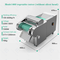 Volautomatische Commerciële Groentesnijder/Multifunctionele Shredder