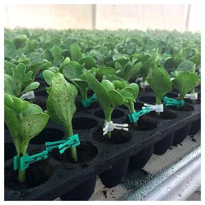 Worthbuy — clips de greffage agricoles, pinces en plastique pour greffage de plantes, <span class=keywords><strong>tomates</strong></span>, concombres, pastèque, manga, ustensiles de serre - Product Image 6