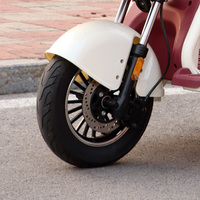 Tricycle électrique certifié CEE 1000W à 3 roues, 2 places, capacité de charge 300 kg, autonomie 50-70 km, scooter de mobilité pour adultes