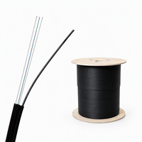 Câble de Fibre Optique FTTH de 1 km et 2 km, 1F 2 Brins, Câble de Fibre Optique SM de 1,0 mm avec Messager, 2x0,5 mm FRP pour Com.
